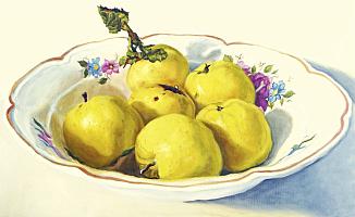 Gater_Aepfel_2021_OelLw_40x65cm